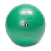 Soft Weighted Toning Ball Pregnant Womens Exercise Balls, for Yoga, Pilates, Fitness and Strength Training, Latex Free - 500lb Weight Capacity, Grey